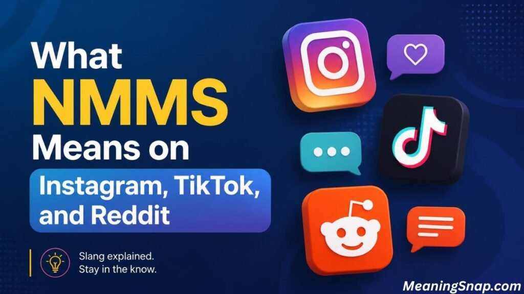 3D social media logos for Instagram, TikTok, and Reddit beside text reading "What NMMS Means on Instagram, TikTok, and Reddit."