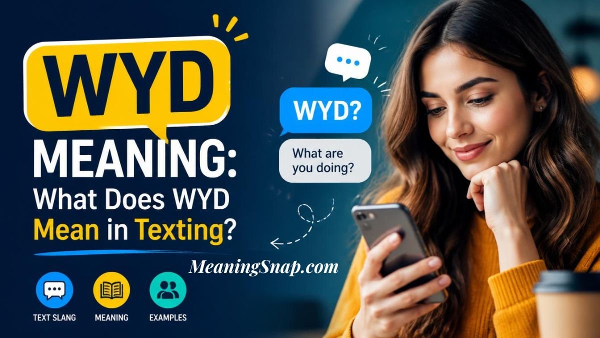 Infographic titled WYD Meaning: What Does WYD Mean in Texting?, showing a woman holding a phone with chat bubbles.