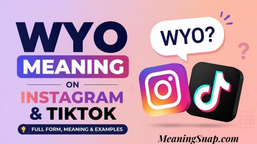 Infographic explaining WYO meaning on Instagram and TikTok, featuring 3D Instagram and TikTok logos alongside a speech bubble asking WYO.