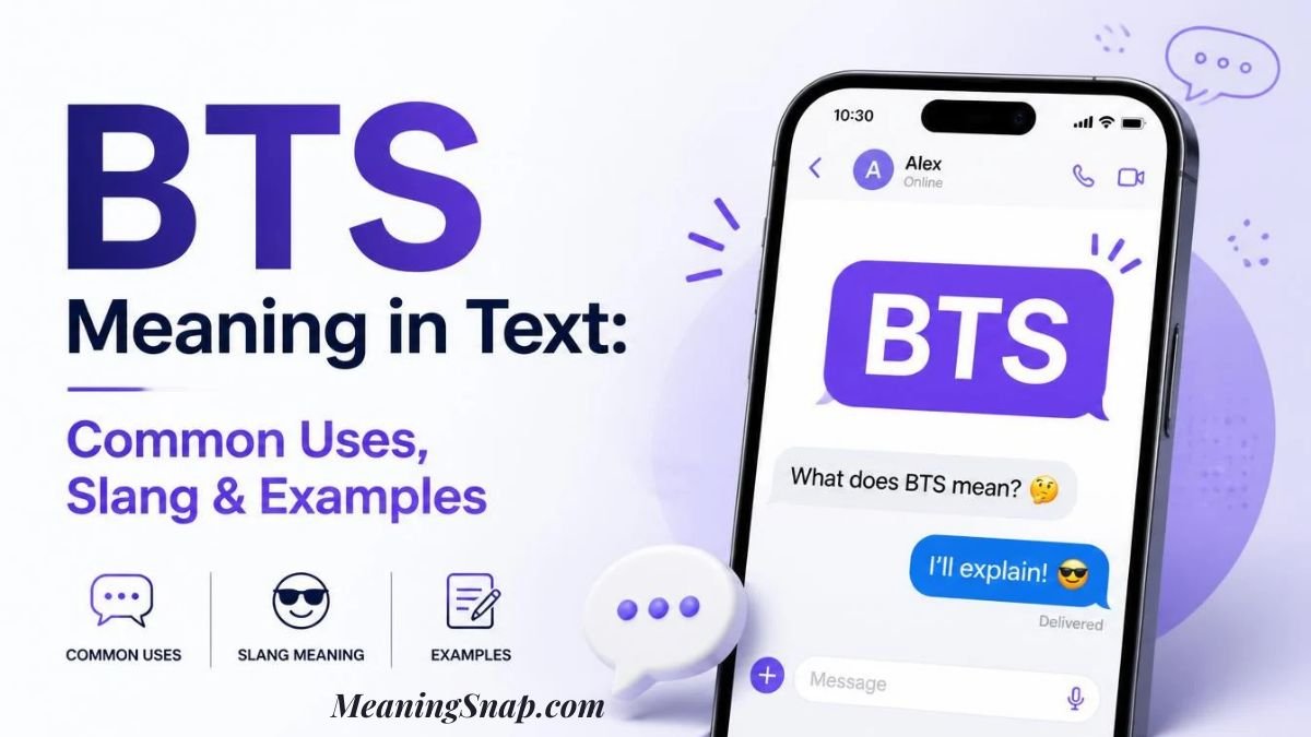 Smartphone displaying a chat screen asking for BTS meaning in text beside guide icons for common uses, slang, and examples.